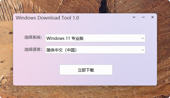 Windows Download Tool.png