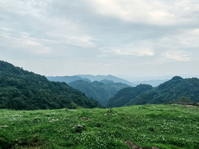 成人路线