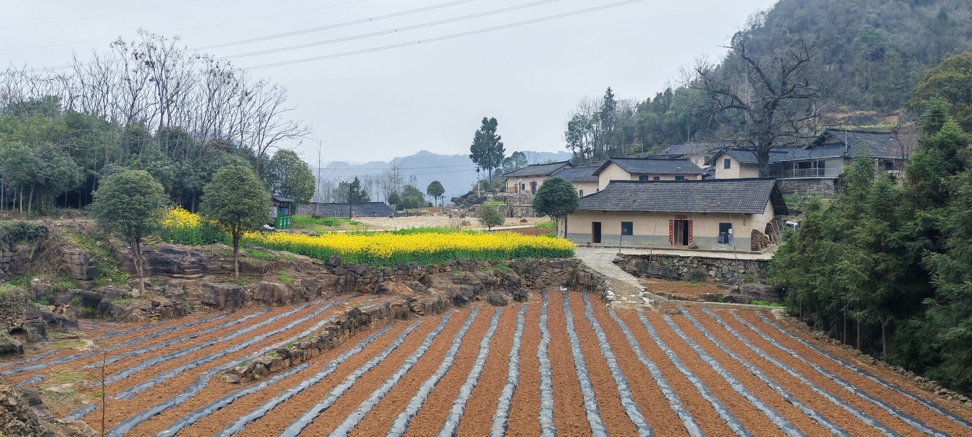 倒八溪 · 魏家老屋