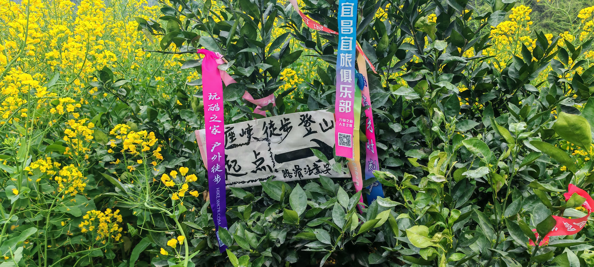 美座峡 · 花田启程