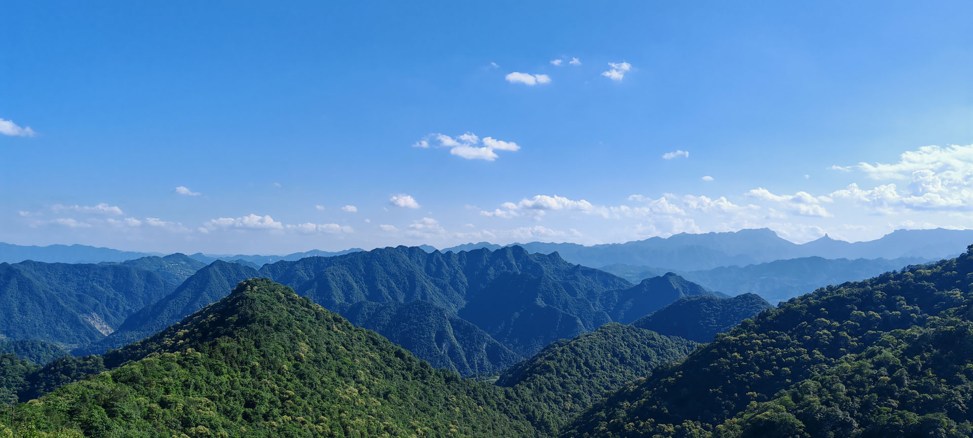 安梓溪 · 晴林翠染